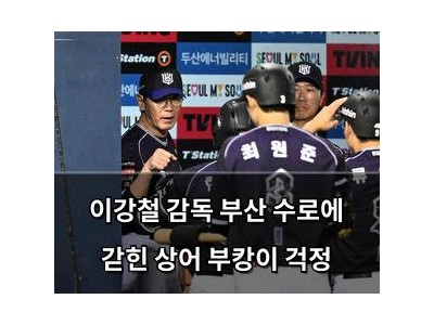 이강철 감독 부산 수로에 갇힌 상어 부캉이 걱정
