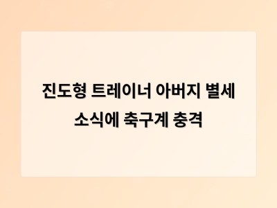 진도형 트레이너 아버지 별세 소식에 축구계 충격