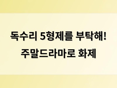 독수리 5형제를 부탁해! 주말드라마로 화제