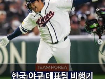한국 야구 대표팀 비행기 세리머니가 화제