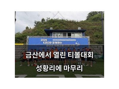 금산에서 열린 티볼대회 성황리에 마무리