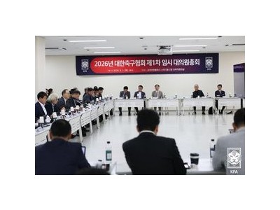대한축구협회 회장 선거 6개월 연장 정관 개정 논란